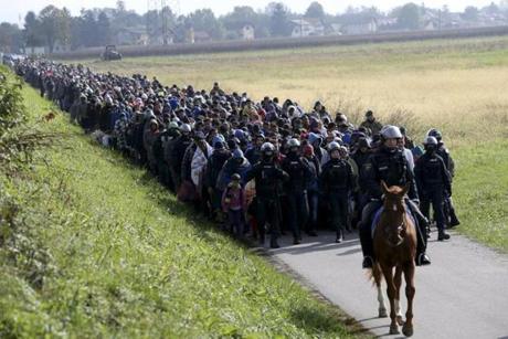 A mounted policeman leads a group of migrants near Dobova, Slovenia on Oct. 20.
