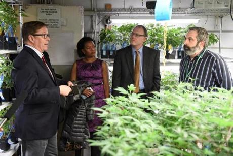 From left: State Senators Michael J. Rodrigues, Linda Dorcena Forry, and James Lewis met with Jim Elftmann, chief operating officer of RiverRock Cannabis.
