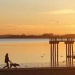 People were silhouetted against Thursday?s sunrise as they walked a dog along Dorchester Bay. 