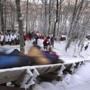 A toboggan hurtled downward toward Hosmer Pond in Camden, Maine, at last year?s National Toboggan Championships. 