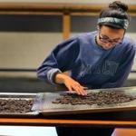 Molly Wallner, assistant chocolate maker, sorts though beans at Somerville Chocolate.