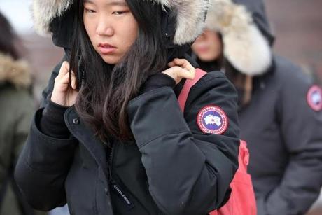 Canada Goose jackets ? which are very expensive and very popular ? are mysteriously taking flight on Boston University?s campus, and police say students are likely to blame. 
