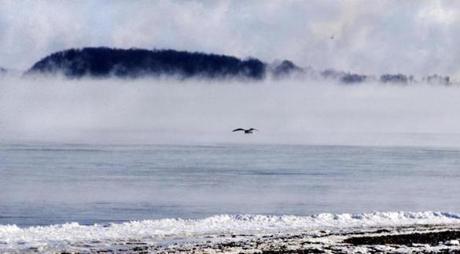 With temperatures at minus-9, and windchills of minus-39 degrees, a seagull is the only sign of life at Wollaston Beach.
