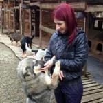 Vlada Provotorova runs a registered US charity called Sochi Dogs, which helps find homes for strays from the Russian city.