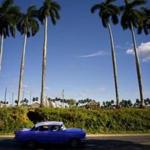 In this Feb. 26, 2016 photo, a classic American car passes the Francisco Blanco tobacco farm in the province of Pinar del Rio, Cuba. While foreign sales rose healthily last year, Cuban cigar industry officials say they have seen little impact on domestic sales from a boom in tourism that has brought hundreds of thousands of new visitors to Havana. (AP Photo/)