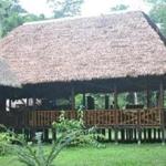 The thatched-roof dining area at Tambopata Research Center.