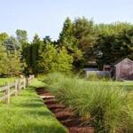 A mixed border of grasses, shrubs, and perennials runs between the pea-stone gravel driveway and the orchard, which sits just beyond the new post-and-rail fence.