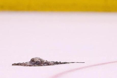 This octopus was thrown on the ice at TD Garden Thursday night.
