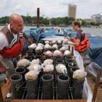 Pyrotechnicians Pat Bosco, left, and Lauren Grucci of Fireworks By Grucci load 5-inch shells into mortars on a barge on th the Charles River on Friday.