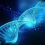 Digital illustration DNA structure in colour background ; Shutterstock ID 150725585; PO: oped