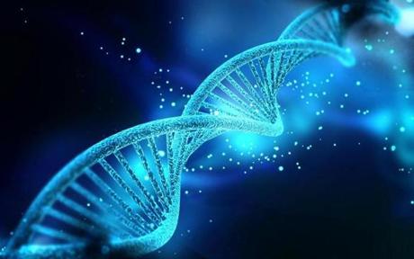 Digital illustration DNA structure in colour background ; Shutterstock ID 150725585; PO: oped
