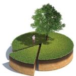 10ShrinkingYards - 3d rendered illustration of sliced cross section of ground with grass and tree isolated on white background. (Artem Egorov/Getty Images)