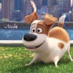 An image from the animated feature ?The Secret Life of Pets,? which made $103 million in its opening weekend.