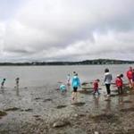 Hingham, MA--7/11/2016--Participants in Hands-On World's End, a summer camp for 5- to 11-year-olds, explore at the side beach off Martin's Cove. Activity at World's End is photographed, on Monday, July 11, 2016. There are plans to expand parking in response to increased use of the conservation land in Hingham. Photo by Pat Greenhouse/Globe Staff Topic: soworldsend Reporter: Johanna Seltz 