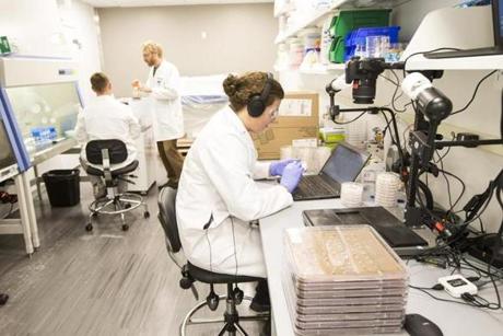 Boston, MA - 7/20/2016 - Lab work is done at the offices of Indigo, a company that engineers crops, in Boston, MA, July 20, 2016. (Keith Bedford/Globe Staff) 
