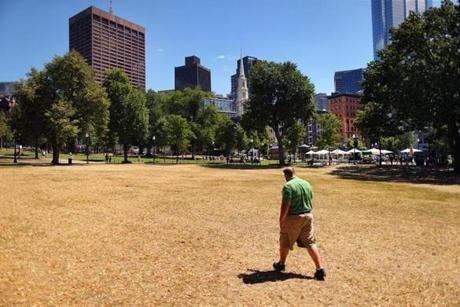 Boston-07/26/2016- Boston Common looks like a desert as the heat wave takes a toll on the once green grass on the Boston Common, in which most of the grass there is parched. Boston Globe staff photo by John Tlumacki(metro)
