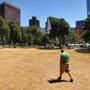 Boston-07/26/2016- Boston Common looks like a desert as the heat wave takes a toll on the once green grass on the Boston Common, in which most of the grass there is parched. Boston Globe staff photo by John Tlumacki(metro)