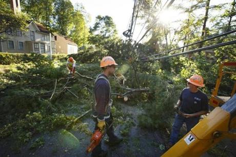 Crews in Concord spent most of Monday morning cleaning up downed trees and fallen power lines.
