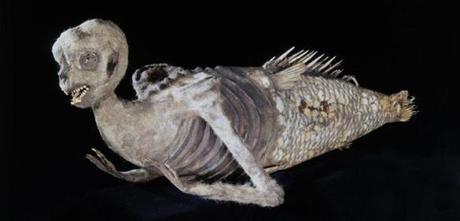 The ?FeeJee Mermaid,? which dates back to the 1800s, was showcased by P.T. Barnum in New York and other parts of the country to curious fanfare. 
