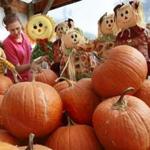 Lena Kunkel puts together an autumnal display made up of pumpkins and scarecrow yard decorations at Nalls Farm Market along Harry Byrd Highway (Va. 7),east of Berryville, Va. on Wednesday, Sept. 21, 2016. The farm market sells fruits and vegetables, as well as, seasonal items. (Ginger Perry/The Winchester Star via AP)