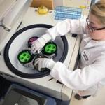 Chelsea Crepeau, technical research assistant at Partners HealthCare Personalized Medicine, placed vials of donated blood in a centrifuge at the group?s biobank in Cambridge.