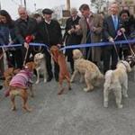 BOSTON, MA - 10/27/2016: Pols have gone to the dogs......( standing behind the blue ribbon L-R ) The ribbon cutting included Boston Councilor Michael Flaherty, Boston Councilor Annissa Essibi-George, former city of Boston mayor Ray Flynn, Boston Councilor Bill Linehan, Massport CEO Thomas P. Glynn, Mayor Marty Walsh, Congressman Stephen Lynch, State Senator Linda Dorcena Forry and State Representative Nick Collins. The Massachusetts Port Authority (Massport), elected officials and members of the South Boston community gathered to celebrate a new dog park for South Boston residents and their pets. Massport made a commitment to build a dog park for the community and tomorrow the East First Street Dog Park will become a reality. (David L Ryan/Globe Staff Photo) SECTION: METRO TOPIC stand alone photo