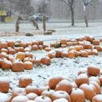 Snow covered a pile of pumpkins for sale at Whitney's Farm Stand Market in Cheshire, Mass.