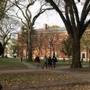 A man walks through Harvard Yard at Harvard University in Cambridge, Massachusetts November 16, 2012. REUTERS/Jessica Rinaldi (UNITED STATES - Tags: EDUCATION)