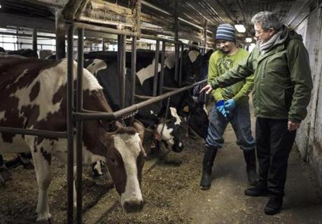 13mexico - Bridport, Vermont- Saturday, December 10, 2016: Emilio Rabasa Gamboa, Consul General of Mexico in Boston talks with a migrant dairy farmer from Mexico while taking a tour of a dairy barn after the Boston Mexican Consulate's mobile operation at the Champlain Valley Unitarian Universalist Society. (Ian Thomas Jansen-Lonnquist for The Boston Globe)
