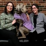 Jodi Andersen (left) and Mary Ann Zeman, cofounders of How I Met My Dog, in Boston, with Finn, a Weimaraner.
