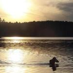 Alex Meyer, an open-water swimmer, trained at Walden Pond in Concord, Mass. in 2011.