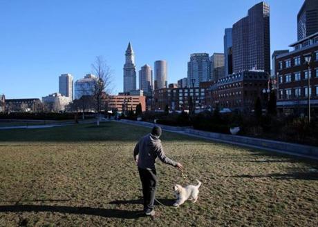 A man and his puppy played on the Rose Fitzgerald Kennedy Greenway in Boston earlier this month.  
