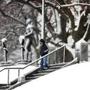 Plymouth-03/10/2017 Snow blanketed Coles Hill on the Plymouth waterfront as a man makes his way down the stairs, as the staue of Massasoit is snow-covered in the background. John Tlumacki/Globe staff(metro)