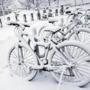 Bikes were covered in snow in Cambridge last week. 