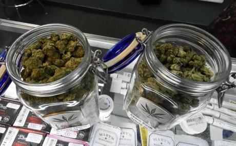 Two different strains of marijuana buds sold at the Medicine Man marijuana dispensary in Denver, Colorado January 11, 2016. Medicine Man dispenses recreational and medical marijuana, along with marijuana derivative products for both humans and pets. (Bob Pearson for The Boston Globe)

