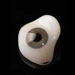 Glass eye prosthetic or Ocular prosthesis with reflection on black