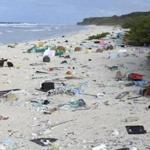 Plastic debris is strewn on the beach on Henderson Island in 2015. 