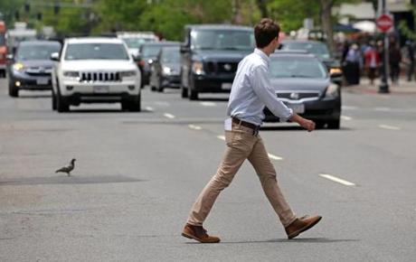 BOSTON, MA - 5/23/2017: Boston Globe reporter Dugan Arnett crosses Boylston Street trying to get a jaywalking ticket in Boston. (David L Ryan/Globe Staff Photo) SECTION: LIFESTYLE TOPIC jaywalkinglive
