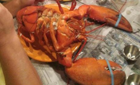 After photos of 15-pound lobster went viral, Christopher Stracuzza served it up for a feast with friends.
