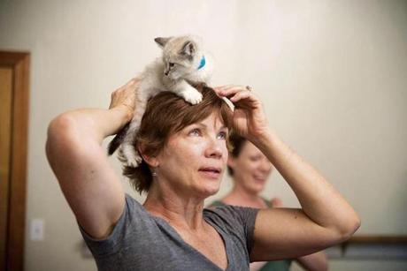 Kim Beatty of Starkville, Miss., places a cat on top of her head during Cats and Mats where people performed yoga with kittens and cats for stress relief and fun in Starkville.
