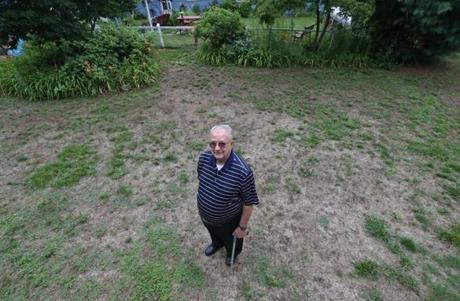 Len Evans of Burlington had the nicest lawn in the neighborhood until they hired Lawn Dawgs to fertilize it and kill weeds.
