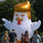 An inflatable chicken mimicking President Trump was spotted Wednesday at a park near the Washington Monument.