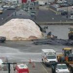 In a tweet early Monday morning, the city?s Public Works Department unveiled ? quite literally ? its massive salt pile.