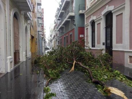A downed tree blocked a street in Old San Juan, Puerto Rico, on Wednesday.

