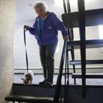 Doris Toohey, 85, walked down the stairs at her condo in Brighton with her dog, Bonnie. 