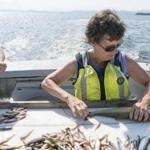 Professor Ellen Marsden took inventory of the catch aboard the Melosira on Lake Champlain.