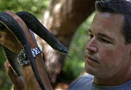 Jeff Corwin holds a hognose snake while walking in the woods in Norwell.
