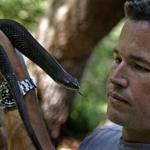 Jeff Corwin holds a hognose snake while walking in the woods in Norwell.