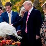 US President Donald Trump pardoned Drumstick in the Rose Garden of the White House. 