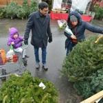 Shoppers looked at trees in Lexington last year. 